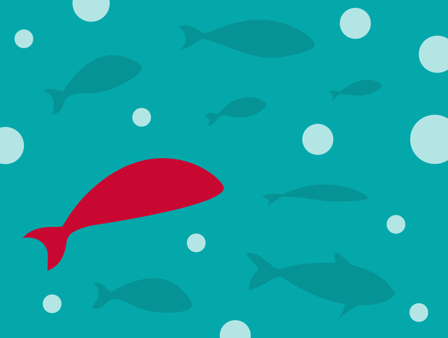 10 Ways Marketing Is Like Fishing | Madison+Main Weekly Report